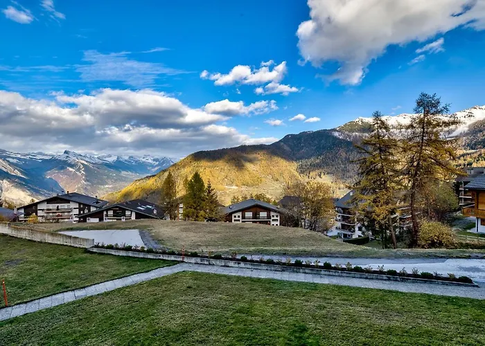 Laforet 23 לה צומאז